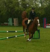 972267_4868818475183_1977290245_n[1]