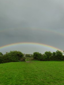 IMG_20150505_170231_hdr